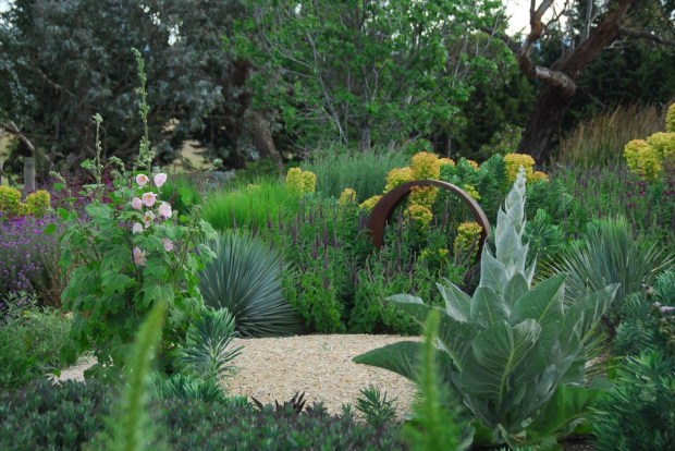 At first sight, the planting appear very consistent...until you look closely and see the huge range of textures. Photo: Michael McCoy