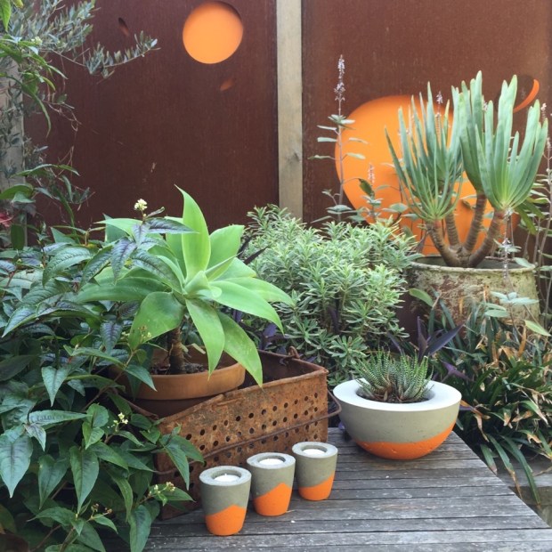 Even on a cloudy day you feel the sun is shining in this garden! Photo: Steven Wells