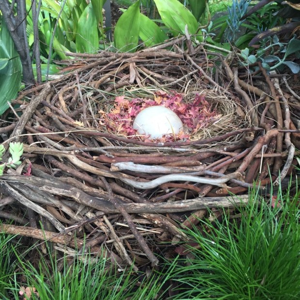 Fallen branches from a gum tree in Steven's garden have been put to good use, along with a distinctly egg shaped, giant pebble! Photo: Steven Wells