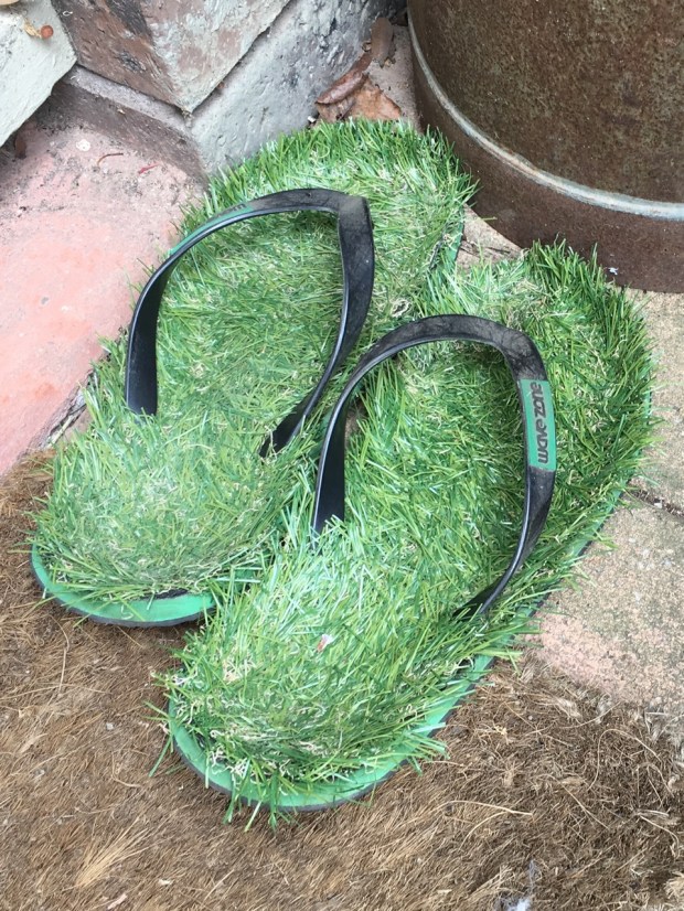If you don't have a lawn to walk on, have a pair of lawn thongs!