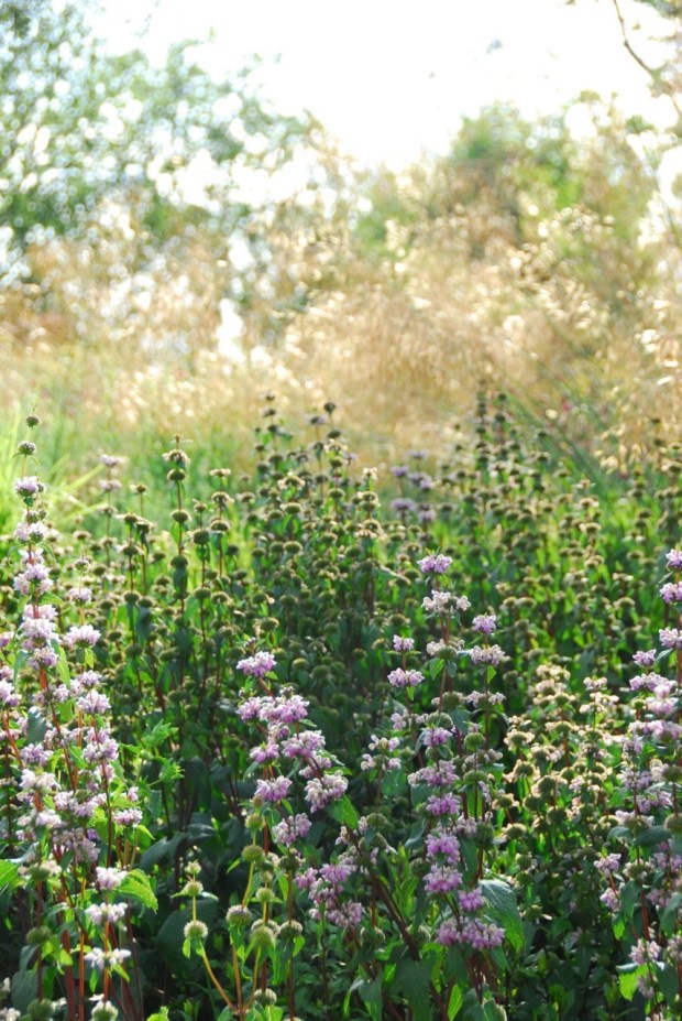 I'm wondering if Michael will let me print this, a few metres tall, for my wall. Photo: Michael McCoy