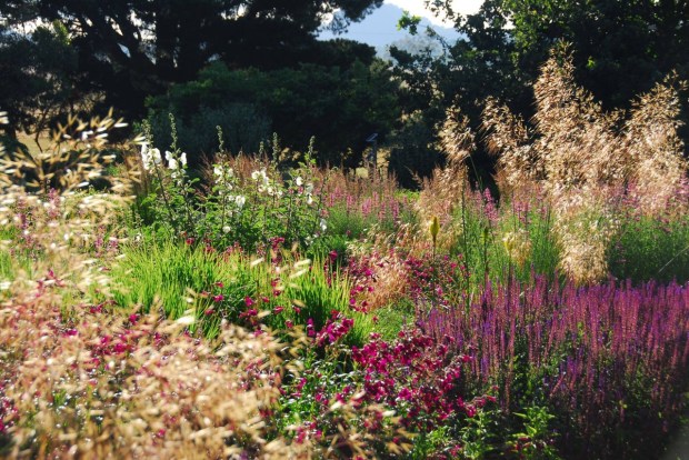 It really is hard to beat a deep, modern, perennial planting. Photo: Michael McCoy