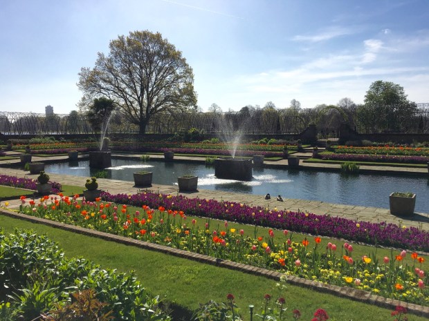 Kensington Palace gardens. A little formal for my liking, but the fountains and resident ducks brought it to life.