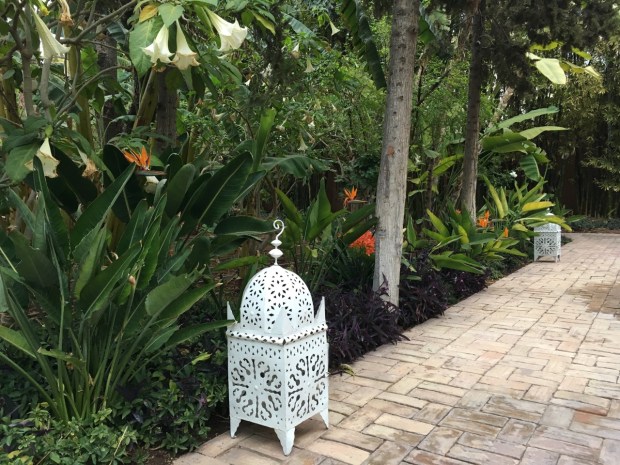 Lush and abundant, but drought tolerant plantings at La Mamounia. This could definitely be Sydney!