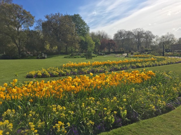 Spring bedding in Hyde Park. Stunning colours and graceful curves give appeal to a style of planting I'm not usually so fond of