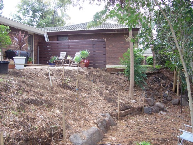 Steven's garden in 2006. Photo: Steven Wells