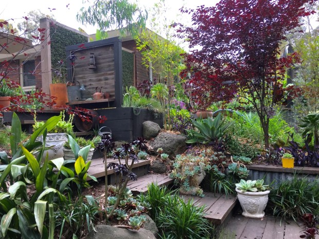 The burgundies hues look wonderful for the timber steps and screens, enlivening the various greens