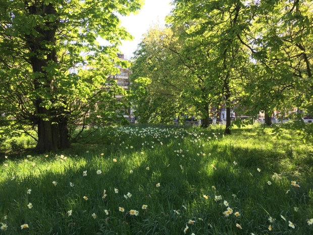 The contrast between mid rise buildings and naturalistic plantings make these scenes all the more appealing