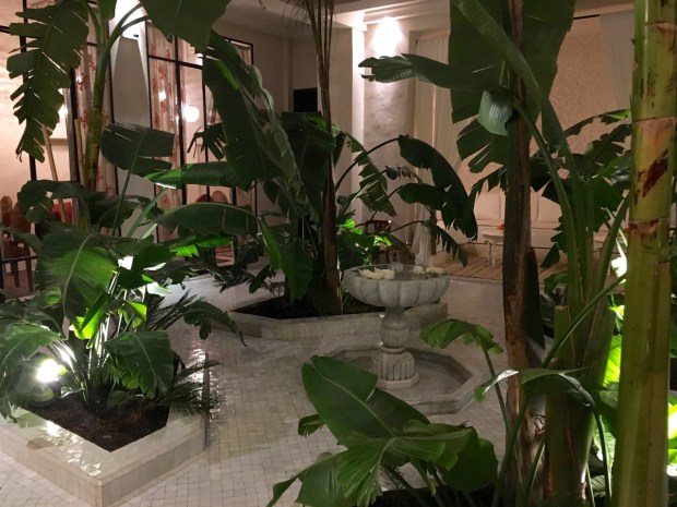 The garden courtyard at the Riad Kheirredine, where we stayed. Even in a tiny space, the Islamic quadrant with central waterfeature worked perfectly
