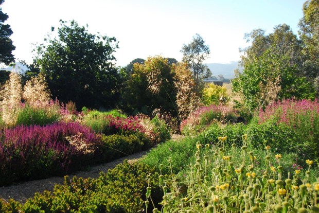 The glimpses out to the fields and hills beyond anchor the garden whilst retaining a sense of intimacy. Photo: Michael McCoy