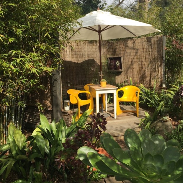 There are even pot plants on the wall of this second dining area. Photo: Steven Wells