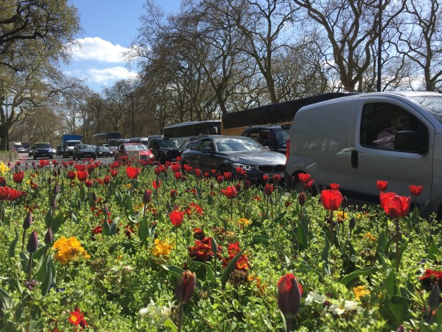 There are worse places to be stuck in traffic than Park Lane, on the outskirts of Hyde Park