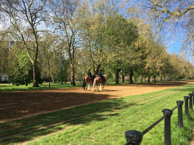 There's always an element of surprise in London, like these Household Calvalry Shire horses (with drums!) walking past