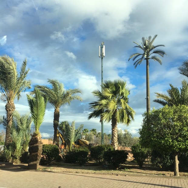 Wonderful mobile mast palm trees. Innovation at its best!