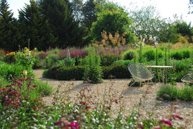Wonderfully laid out drifts with tall Stipa gigantea in the background. Photo: Michael McCoy