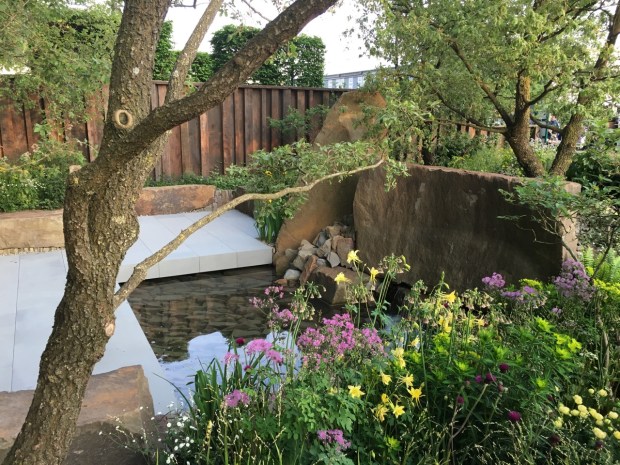 A tranquil pool adds to the atmosphere in Cleve West's garden