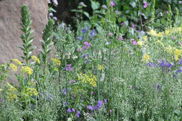 Ahh. No words needed.