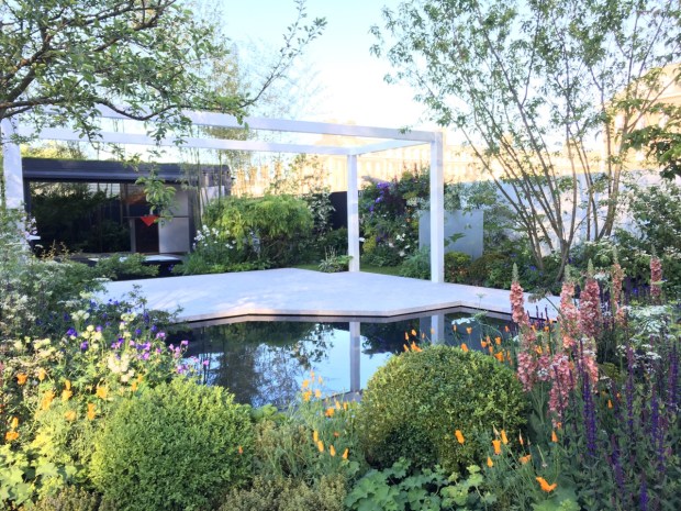 Chihori Shibayama & Yano Tea: The Watahan East and West Garden