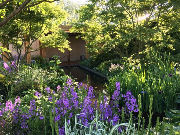 Chris Beardshaw: The Morgan Stanley Garden for Great Ormond Street Hospital