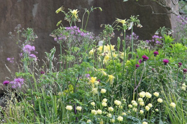 Cleve has dreamily created something that looks incredible naturalistic but with the intensity of interest that we crave in a garden