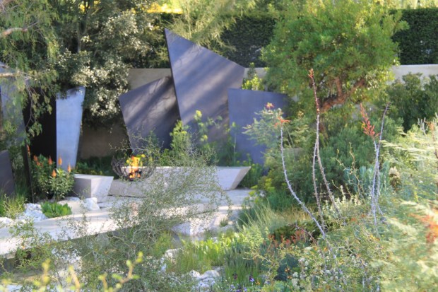 Dry plants added an architectural element, whilst the garden retained its lush feeling