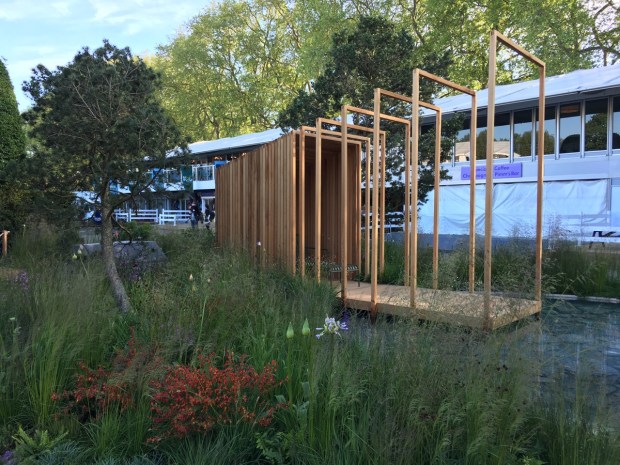 Hugo Bugg: Royal Bank of Canada Garden