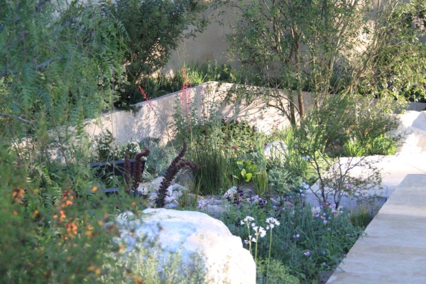 Look how soft some of this planting is (foreground, right)