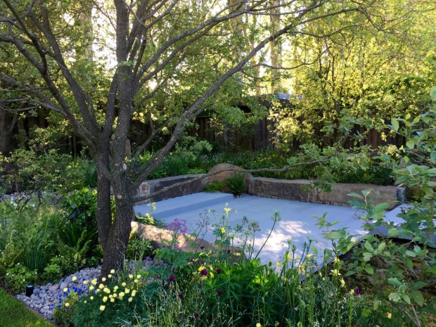 New meets old in Cleve's Chelsea 2016 garden