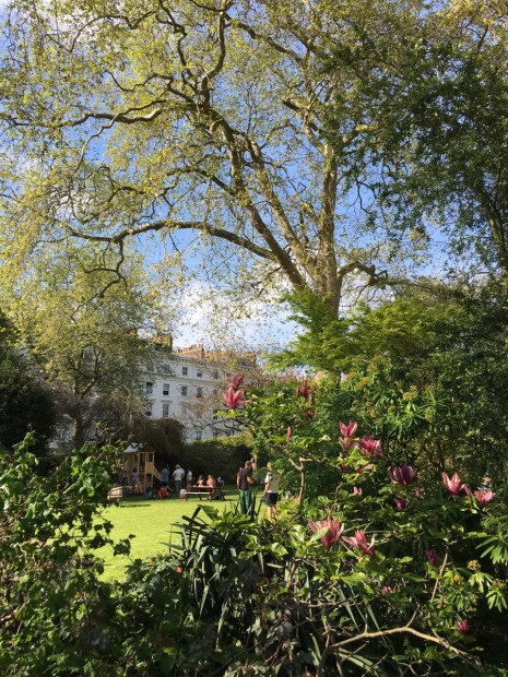 One of many vistas into the garden from the perimeter pathway, here framed by Magnolia