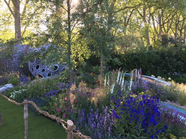 Rosy Hardy: The Brewin Dolphin Garden - Forever Freefolk