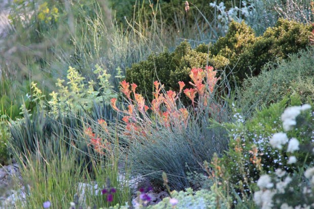 Such a range of textures and froms but all sit easily together