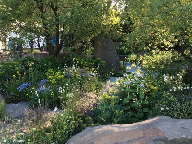 The mix of under storey planting is divine in Cleve's M&G Chelsea garden