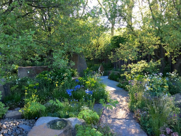 The rough path becomes smooth; symbolising designer Cleve's journey into garden design
