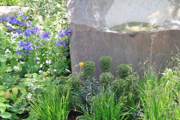 These Euphorbia weren't on Cleve's plant list, but I think they make a great last minute choice, highlighted perfectly against the stone and providing a change in texture