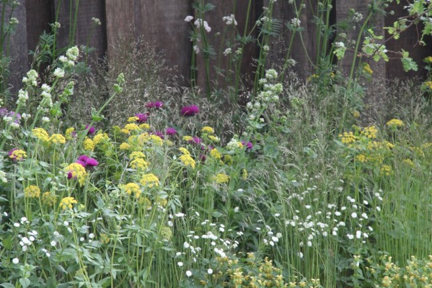 This photo shows just how perfect the oak fencing is in this garden; I think it's the first fence I've ever seen that adds rather than detracts and it took me three visits to the garden to even notice it!