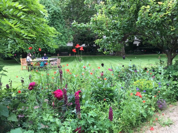 Cleveland Square garden