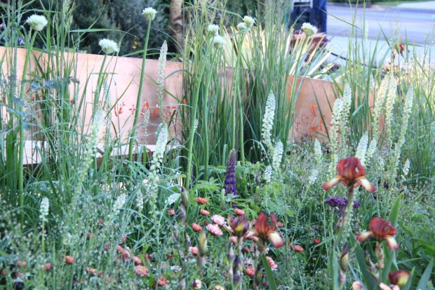Colour, texture and form are expertly combined in Nick Bailey's Chelsea garden