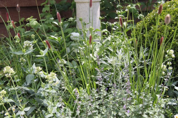 David Harper Stand: Best in Show Trade Stand