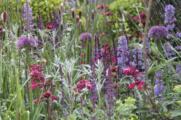 David Harper Stand, Chelsea 2016