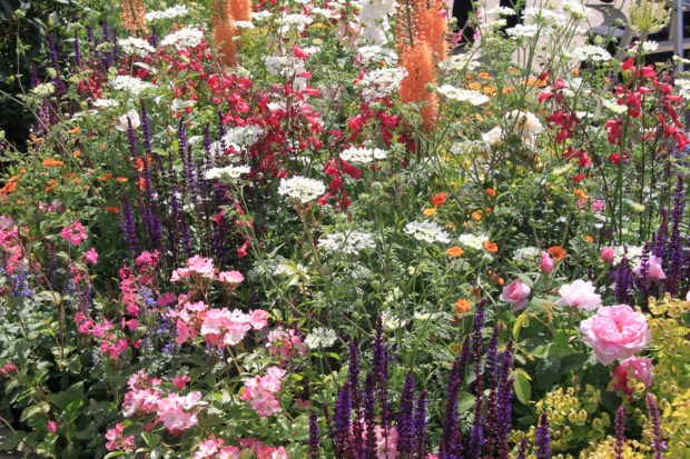 Diarmuid Gavin's 'The Harrods British Eccentric Garden' Chelsea 2016