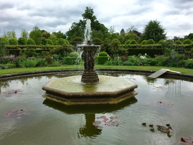 Just adore ducklings