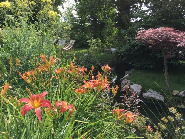 Kensington Roof Gardens: The Woodland Garden