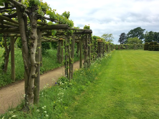 Lime pergola at Hatfield House