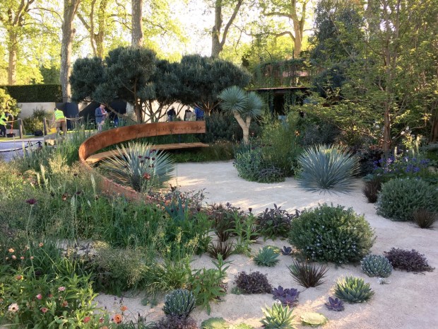 Low density planting as the seedling unfurls. Nick Bailey Chelsea Mathematics Garden