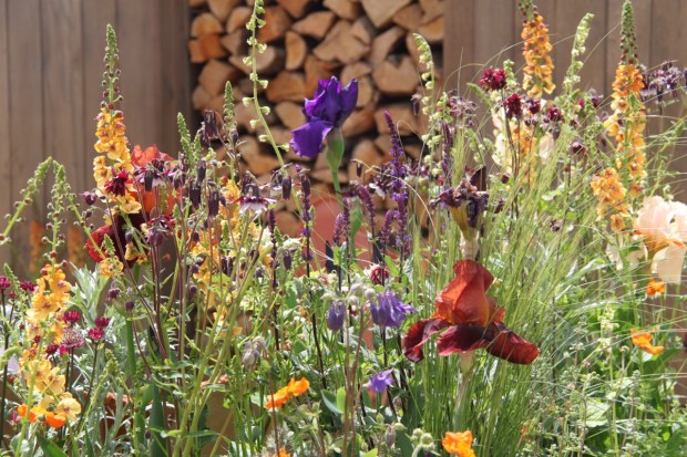 OFYR Stand Chelsea 2016