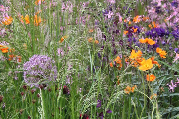 RHS Greening Grey Britain garden by Ann-Marie Powell