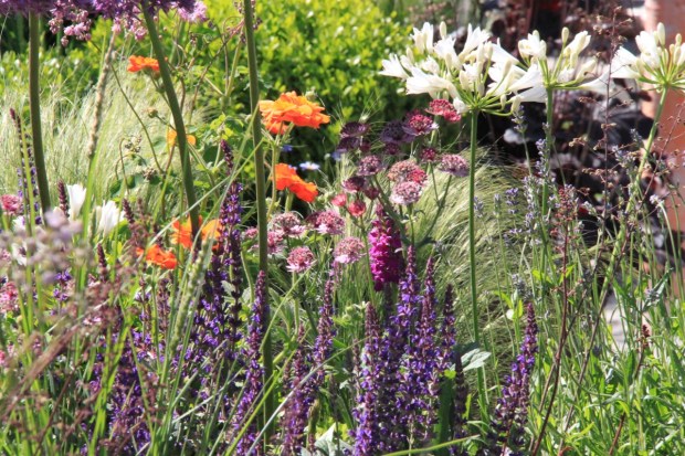 Sir Simon Milton Foundation Garden: 'Urban Connections' by Lee Bestall, Chelsea 2016