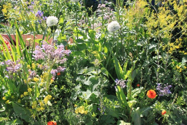 The Akzonobel Honeysuckle Blue(s) Garden by Claudy Jongstra and Stefan Jaspers, Chelsea 2016