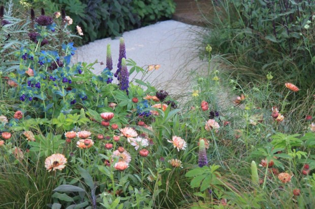 The colour combinations were out of this world. Nick Bailey