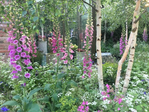 The Hartley Botanic Garden by Catherine McDonald, Chelsea 2016